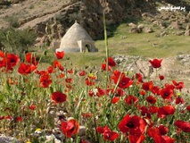 اوز؛ بهشت گم‌شده‌ي گردشگران